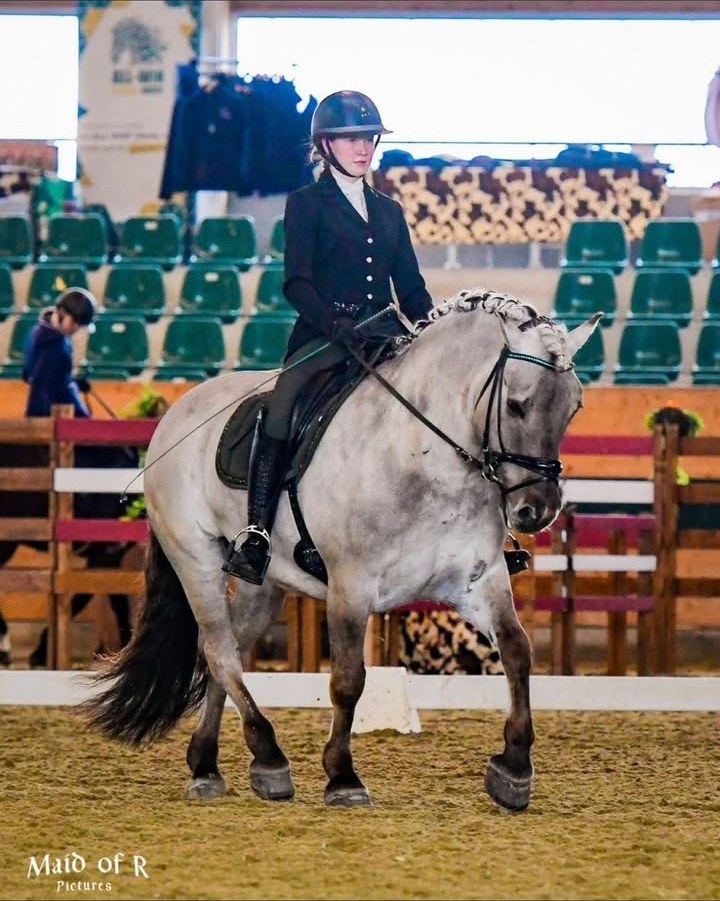 Fotos von ReitundFahrverein Gurgltals Beitrag