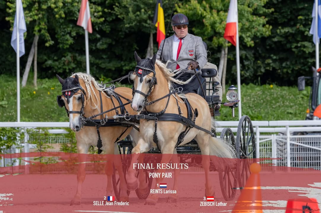 Fotos von Fohlenhof Ebbs / Haflinger Pferdezuchtverband Tirols Beitrag