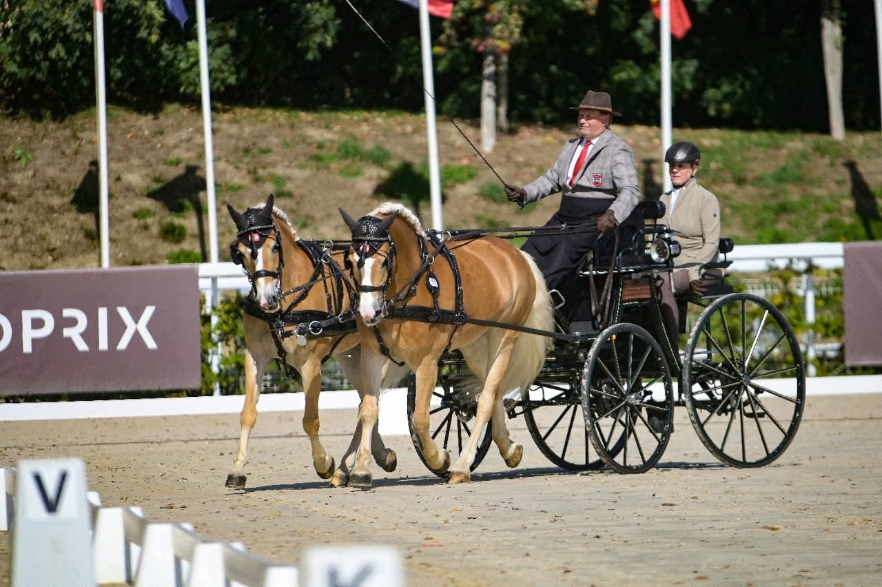 WM Fahren Pony: Toller Dressur-Start für Lothar Zebisch